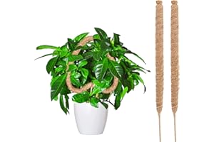 FONYET Nauczyciel roślin pnących 64 cm Nauczyciel Coco Curable Tutor Monstera do kształtowania winorośli i wspierania roślin