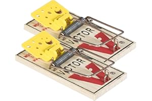 PROTECT EXPERT Lot De 2 Tapettes À Souris Préappâtées - Socle Bois Certifié FSC - Armement Facile - Réutilisable - Pas Besoin D'Appât SOUTAP2N