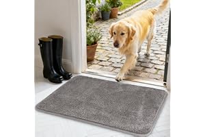 AUAUY Smutsfälla Dörrmatta, 40 x 60 cm dörrmatta för inomhus, vattenabsorberande matta, halkfri, tvättbar, för hund, entré, dörr och hall, hem och kontor