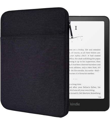 Stilbag EReader-Hülle FINN Für Onyx Boox Page | Filz-Etui | Made In Germany | Farbe: Anthrazit/Azur