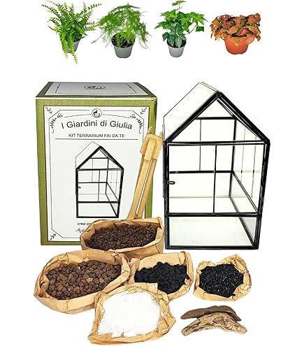 Kit Terrarium Fai Da Te Con Piante Vere - Ecosistema Autosostenibile In Vetro