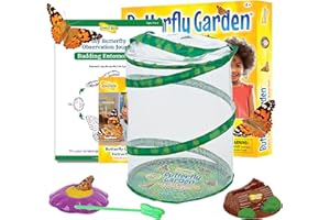 Kit d' elevage de papillons - Insect Lore