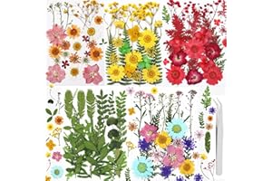 GUANGZHOU 146PCS Real Dried Pressed Flowers and Press Leaves Natural Colorful Handmade Flower Petals for DIY Face Decoration Resin Candle Nail Pendant Crafts Art Floral Decorations (146PCS)