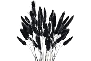 SHIIYYU 120 Stems Bunny Tails Black Pampas Grass Decor,40cm Rabbit Tails Dried Flowers Bouquet ,Lagurus Ovatus Dried Grass Bouquet (Black)