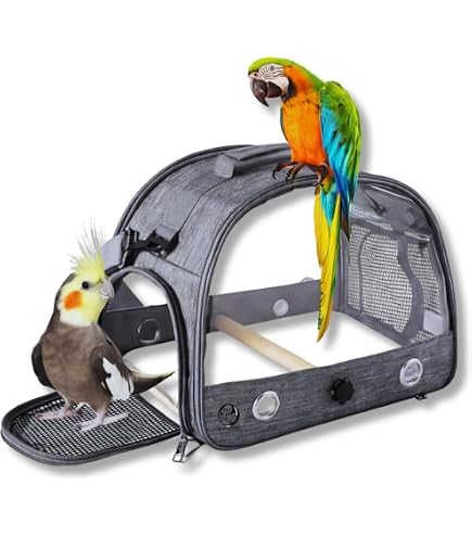 The AVIATOR Pet Bird Harness and Leash: Large Blue : Amazon.in