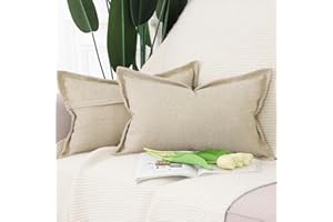 Madizz Lot de 2 Doux Housses de Coussin en Lin avec Bordure Large Décoratif Coussin Couvre Style De Luxe pour canapé de Chambre Beige 30x50 cm