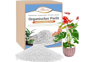 Riare Perle Organique végétale Horticulture végétale Perlite modificateur du Sol Perle Naturelle en Bloc Additif de Conditionnement du Sol Améliore la Croissance du système Racine (10L)