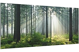 Bilderwelten Küchen-Spritzschutz 40 x 80 cm Enlightened Forest Wald Wiesen Natur Rückwand