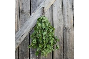 YOOZENA Automotive spark plugs-Automotive spark plugs-Dried Hand Made Sauna VihtaL8