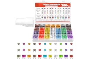 FUG 300 Pcs 2A-40A Car Fuses Assorted Kit, 50 Micro 90 Standard 160 Mini Blade Fuse with Storage Case Puller Extraction Tool