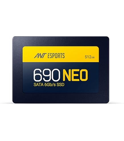 Acer RE100 SSD 512GB SATA III - Bis 560 MB/s Interne Festplatte
