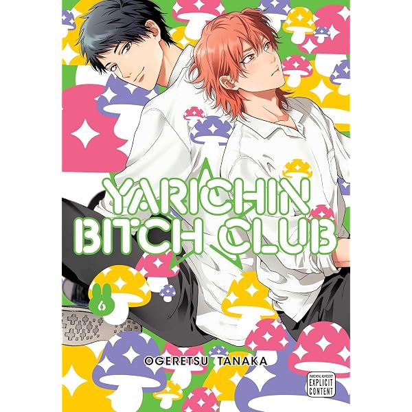 Livre D'exposition Japonais Ogeretsu Tanaka / Yarichin Bitch Club 10 Ans - Occasion, Bon état Général
