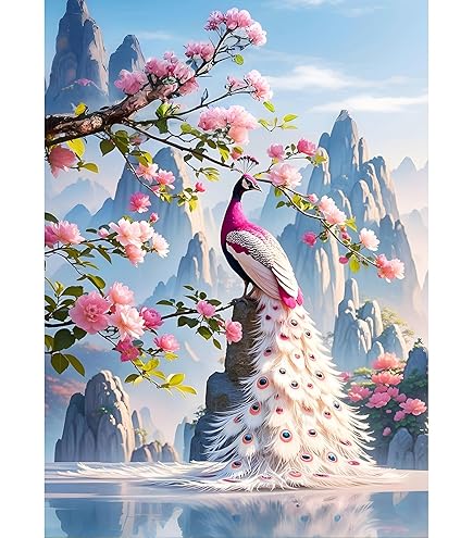 Yin Yang Landschap Diamond Art Kits voor Volwassenen, DIY