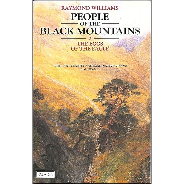 The Beginning (v. 1) (People of the Black Mountains): Amazon.co.uk