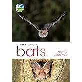 RSPB Spotlight Bats