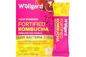 Wellgard Fortified Kombucha, Vegan Probiotic Drink Sticks, 1 Billion CFU Bacillus Coagulans, Prebiotics, Vitamin B₁₂ for Immune & Energy, 20 Sticks
