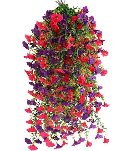 brokkolisamen zentrum der gesundheit Brokkoli Brokkoletti Sprossen Keimsaat 300 g – Biomond main image 1