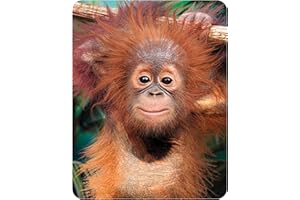 Deluxebase Calamita 3D LiveLife con Cucciolo di Orango da Frigorifero, Lenticolare con Scimmia. Decorazioni magnetiche per Bambini e Adulti con Opera d'Arte dell'artista David Penfound