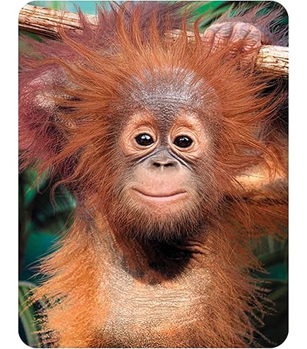 3D LiveLife Magnet Visite à Londres De Deluxebase. Aimant Lenticulaire Puissant Pour Frigo 3D