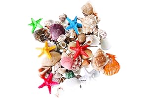 AHLMA 200g Conchiglie Decorative per Torta Conchiglie per L'artigianato Segnaposto Conchiglie Adatto per Riunioni di Famiglia Decorazioni Nuziali per Vasi(Modello Misto con Stella Marina)