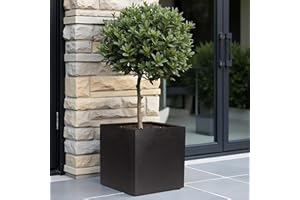 IDEALIST 30cm Planter | Black Reinforced Stone Square Garden Flower Pot with Drainage Holes L30 W30 H30.5 cm, 19 litres