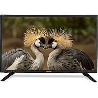 Stanlee India 60 cm (24 Inches) Pro X1 HD Ready IPS LED TV 34SF24X1SD (Black)