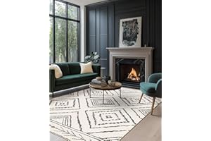 DEFYNEE Tapis de Salon Lavable en Machine 60x90 cm Tapis antidérapant, Tapis de Chambre Style marocain pour Le Salon, l'entrée, la Chambre et la Cuisine, Noir & Blanc