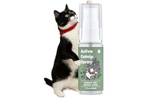 JAYU PET Aktives Katzenminze-Spray – Hochwirksames, transparentes Flüssigspray aus frischer Bio-Katzenminze für Wohnungskatzen und Kätzchen, stresslindernd, beruhigend, belebt Spielzeug (30 ml)