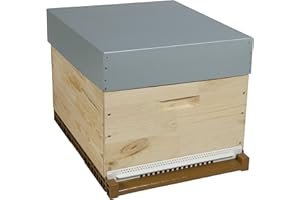 CÔTÉ RUCHE Ruche DADANT PRIBOIS DECOUVERTE avec Cadre filé