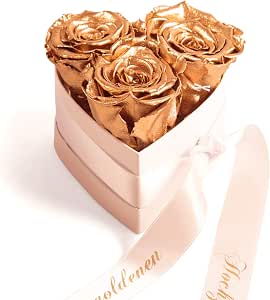 Rosemarie Schulz Heidelberg Infinity Rosenbox Herz Rosenherz Konserviert Zur Goldenen Hochzeit Jubilaum Geschenk Gold 3 Infinity Rosen Amazon De Kuche Haushalt Wohnen