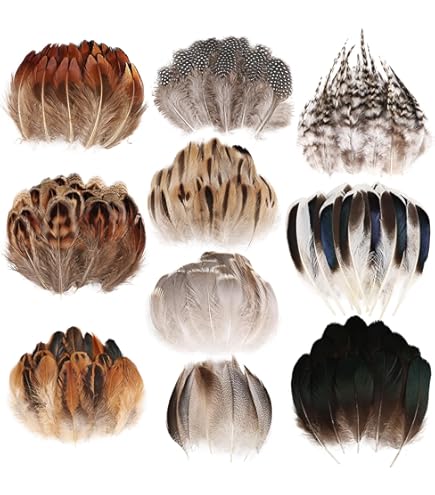 PATIKIL 10-12 Pouce Coq Plumes, 50 Paquet Vrac Naturel Plumes Pour Travaux Manuels Carnaval Travaux Manuels Vêtements Costumes Mariage Fête Style 1, Doré
