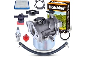 Haishine 799866 Carburateur Kit pour Briggs & Stratton 675 675ex 725ex Series Remplace 799871 796707 794304 avec Valve Générale+Filtre à Huile+Filtre à Air+Tuyau D'Huile+Bougie d'Allumage