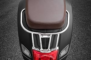 TAZGANTAX Motorrad-Heckgepäckträger kompatibel mit Vespa GTS300 GTS250 GTV300 GTS 300 250 GTV 300 GTS-250 GTS-300 GTV-300 2008-2022 Heckgepäckträger Gepäckträger Beifahrerhaltegriff (Chrom)