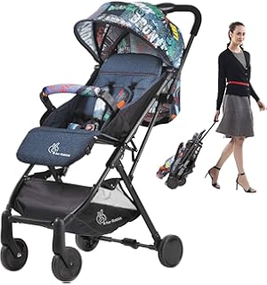 r for rabbit poppins stroller