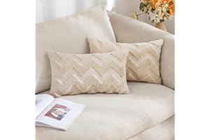 MIULEE 2 Piezas Funda Cojines Funda de Almohada Diseño Boho Lana de Imitación Cojin Moderno Decoración Cremallera Oculta para Silla Oficina Cama Habitacion Dormitorio Salón 30x50 cm Beige