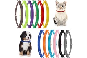 Molain Lot de 12 Collier Chiot, Colliers d'identification pour Chaton et Chiot, Couleurs Assorties pour Petits Chiots Colliers d'identification réglables pour Petits Chats Chiens