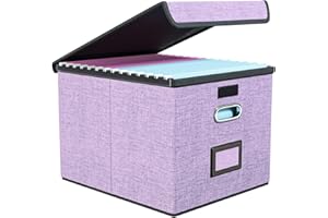 FINEW Scatola portaoggetti pieghevole in tessuto con coperchio, per cartelle sospese, formato DIN A4, scatole per ufficio, scatola pieghevole per famiglie (Mauve)