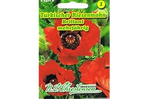 CHRESTENSEN Türkischer Riesenmohn brillant hellrot Schmuckstaude 'Papaver orientale' mehrjährig