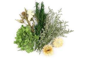HOPTON Trockenblumen Zum Basteln, Natürliche Getrocknete Blumen, Trockenblumen Klein, Getrocknete Blumen Deko für DIY Handwerk Epoxidharz Scrapbook Fotorahmen Karten Machen(Grün)
