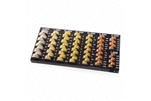 Securina24 Portamonete Contamonete Contatore Monete Smista Monete SR-920 (1)