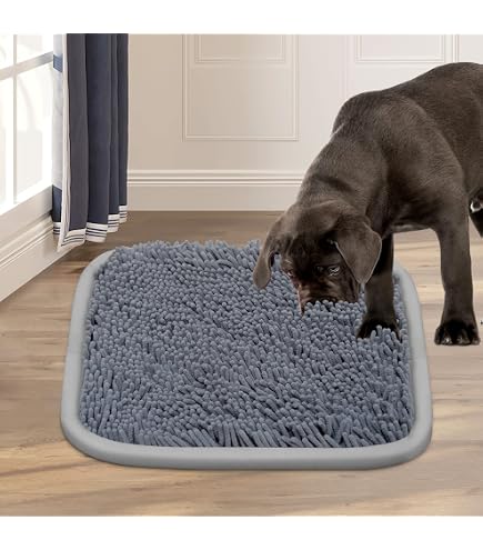 Warnschild „VORSICHT FREI LAUFENDER HUND“ – 20x30 Cm, Wetterfest Aus 3 Mm Hartschaum, Made In Germany