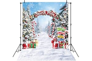 WANGRJ Christmas Backdrop 5x7FT North Pole Snowy Winter Forest Photography Background for Winter Holiday Xmas Family Party Decorations New Year Banner (5x7FT（150x210cm）)