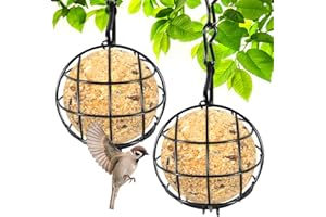 ZeYou Comedero Pajaros,Comedero Pájaros Bolas de Grasa Exterior para Libre, Jardín, Patio (2 Piezas)
