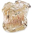 Myaskro® Transparent Dental Model To Demonstrate ✮ Dental Implant ✮ Dental Diseases ✮ Cavities And Other Dental structures and processes ✮ Premium Quality
