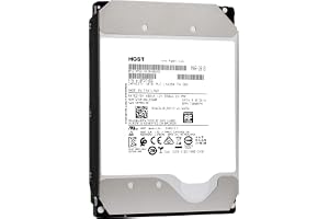 Western Digital Ultrastar HC510 10 TB (renoverad) – intern hårddisk – – mekanisk hårddisk