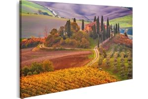 islandburner INBT-1P Picture on Canvas Sunrise Italy Beautiful Golden Tuscany Vineyard Pictures Wall Pictures Poster