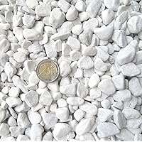 Doubleyou Geovlies & Baustoffe 2 kg Carrara Kies - Marmorkies weiß - Körnung 18-25 mm 7,49/kg: