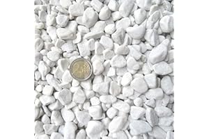 Doubleyou Geovlies & Baustoffe Gravier de marbre de Carrare Blanc Grain 18-25 mm 1-20 kg 5 kg Blanc.