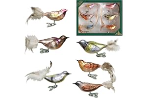 Krebs Glas Lauscha - Ozdoby choinkowe ze szkła - zestaw ptaków zimowych na klipsie - 6 sztuk - 11 cm