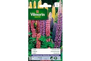 Vilmorin 5345741 Lupin de Russel varie Multicolore 9 x 0.5 x 16 cm